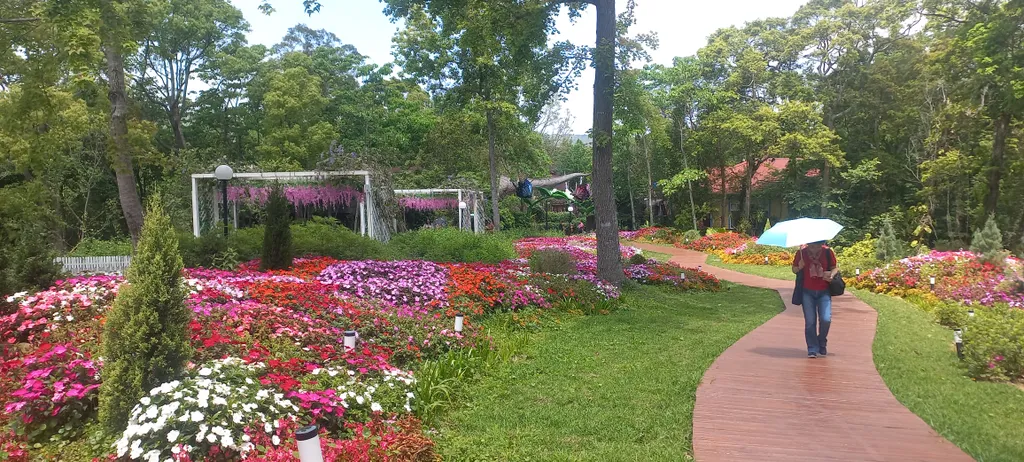 Melancong di Usia Senja, Siapa Takut?