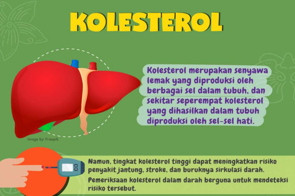 Terapi Dislipidemia untuk Deteksi Kadar Kolesterol dalam Darah